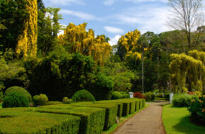 Sri Lanka Kandy